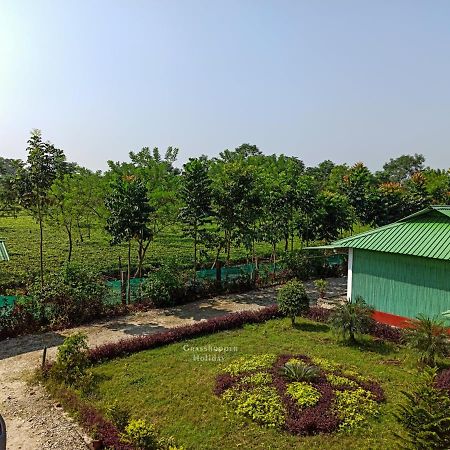 Grasshopper Jungle Queen Resort Chālsa Extérieur photo