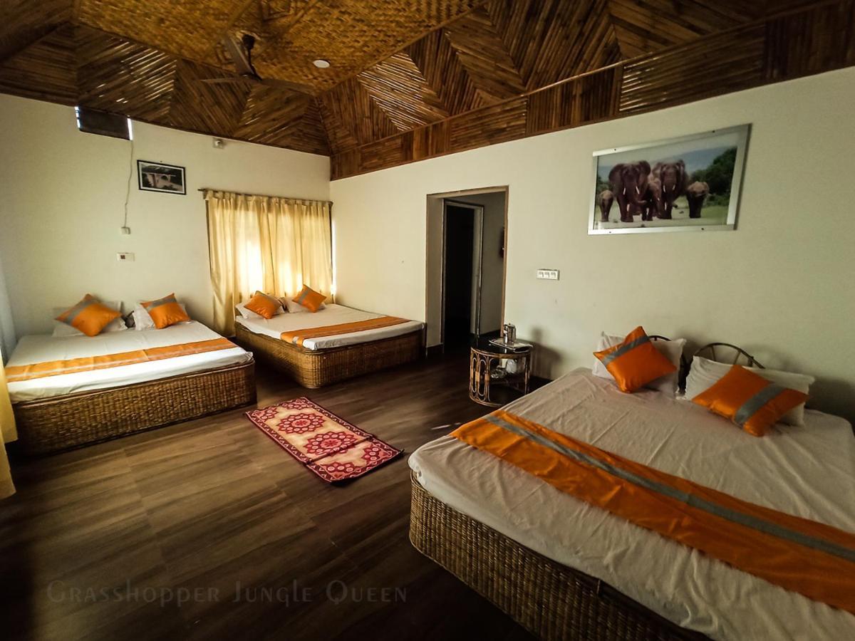 Grasshopper Jungle Queen Resort Chālsa Extérieur photo