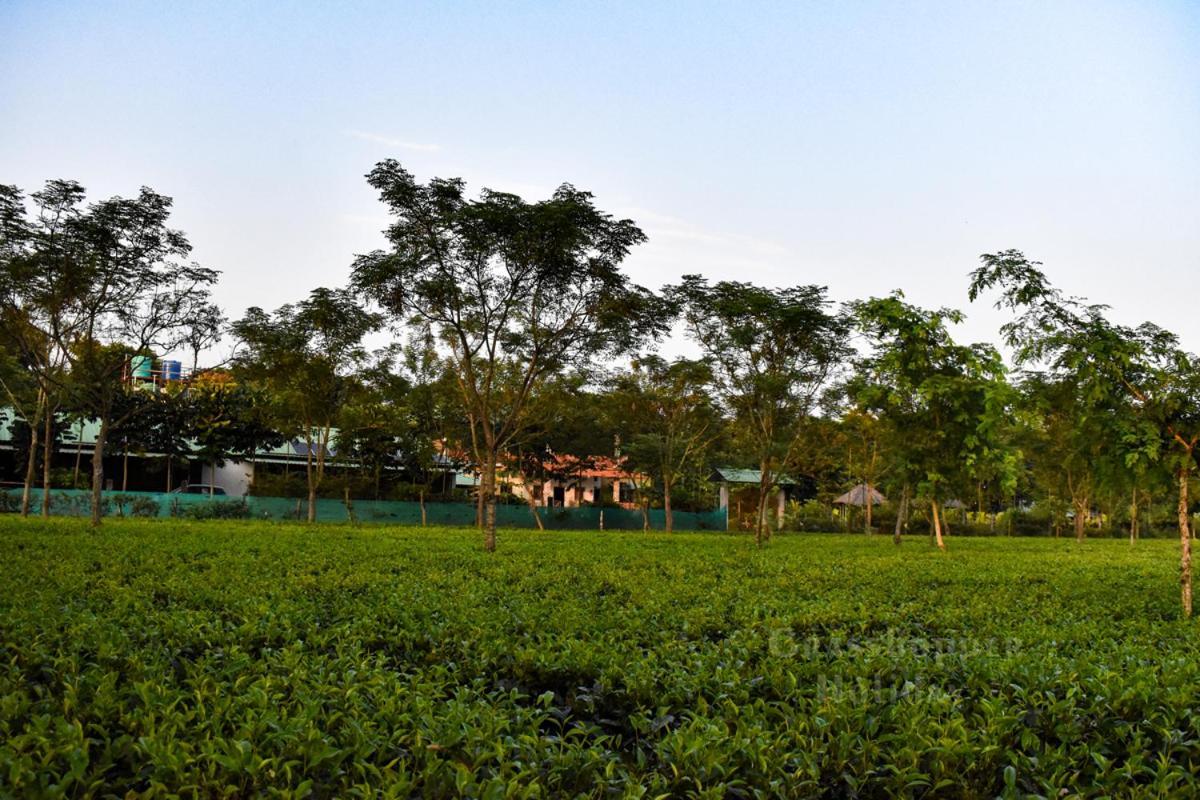 Grasshopper Jungle Queen Resort Chālsa Extérieur photo