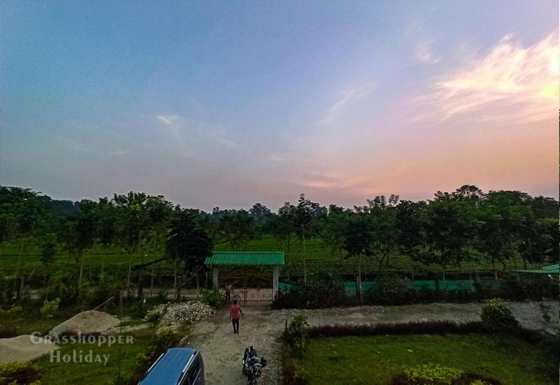 Grasshopper Jungle Queen Resort Chālsa Extérieur photo