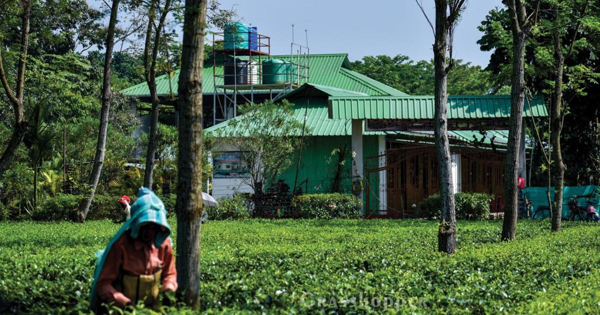 Grasshopper Jungle Queen Resort Chālsa Extérieur photo